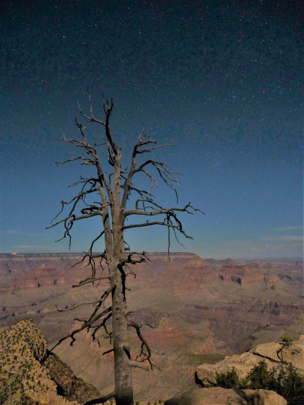 Merry Christmas 2018!